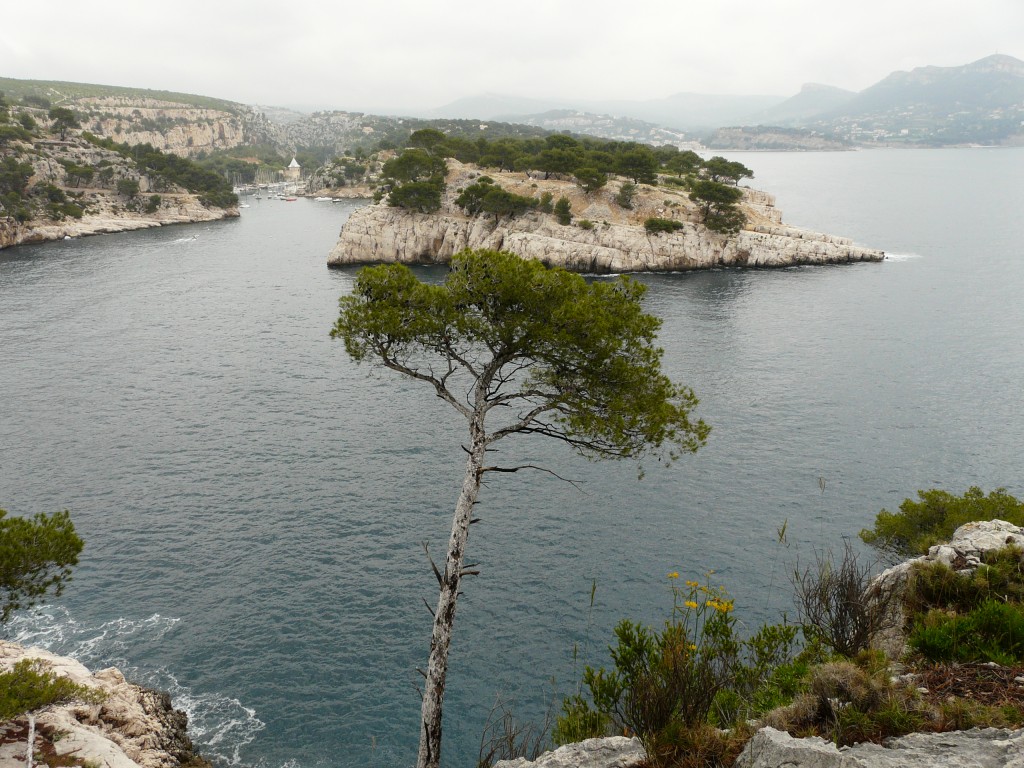 Cassis, 29-05-08, 11-07.jpg